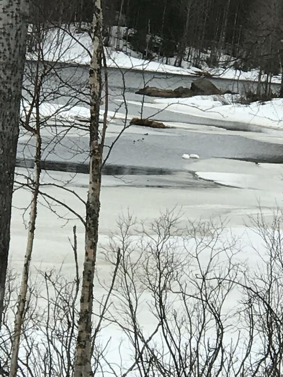 Villa Somosenranta Oikarainen Eksteriør bilde